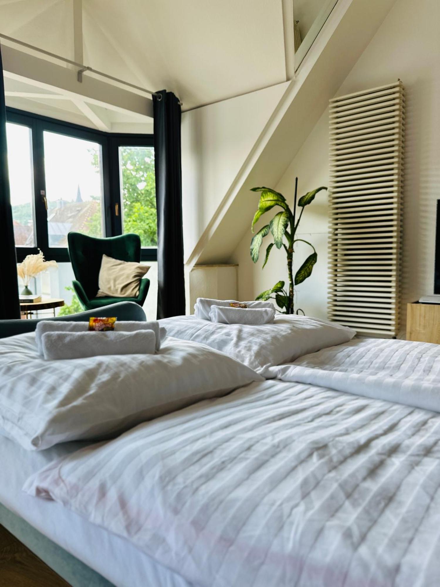 Amao-Green: City Center Maisonette with Rooftop Terrace Lahr  Exterior photo